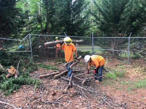 Site Cleanup After Storm