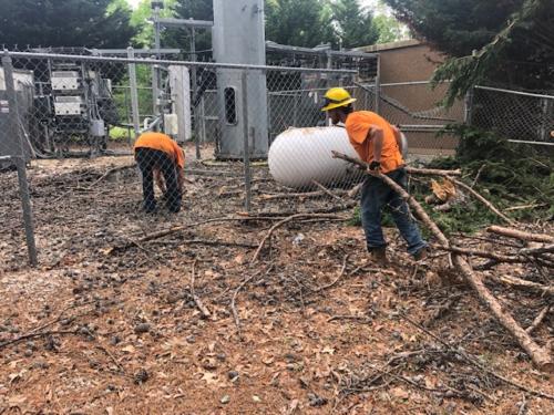 Site Cleanup After Storm